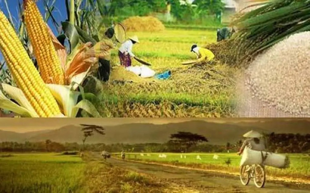 Ketahanan Pangan Dan Program Makan Bergizi Gratis Untuk Meningkatkan Kesejahteraan
